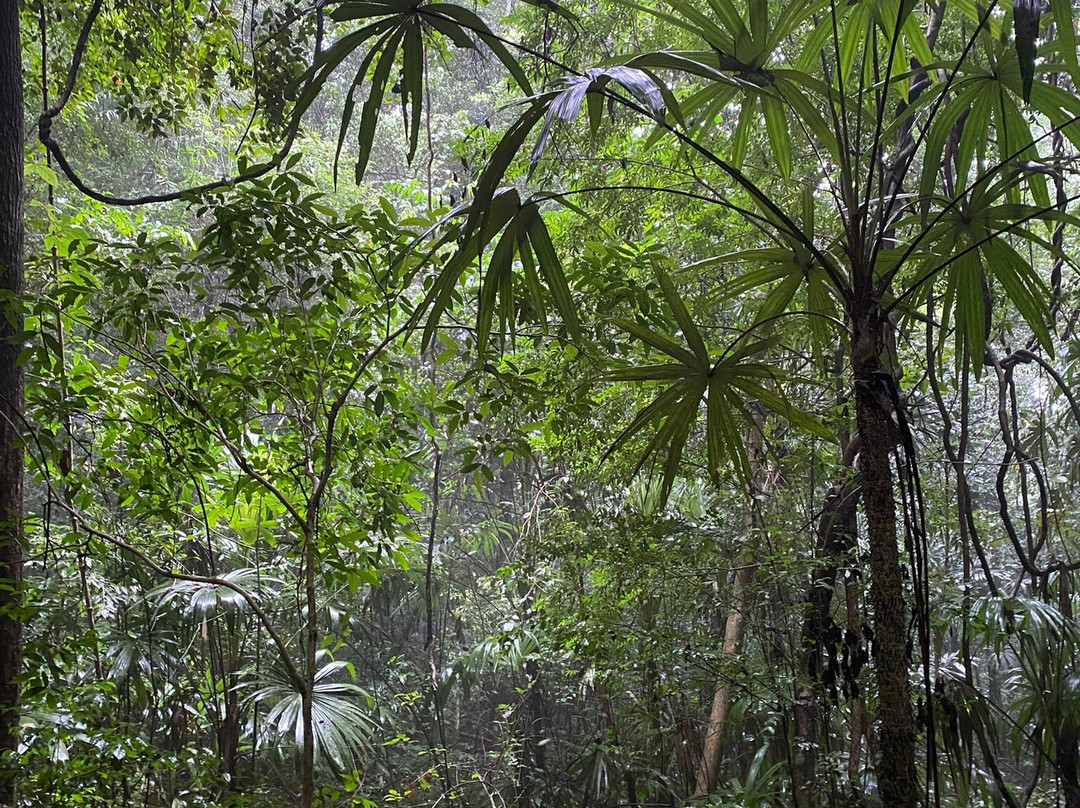 Zona Arqueológica de Yaxchilán-恰帕斯必去景点