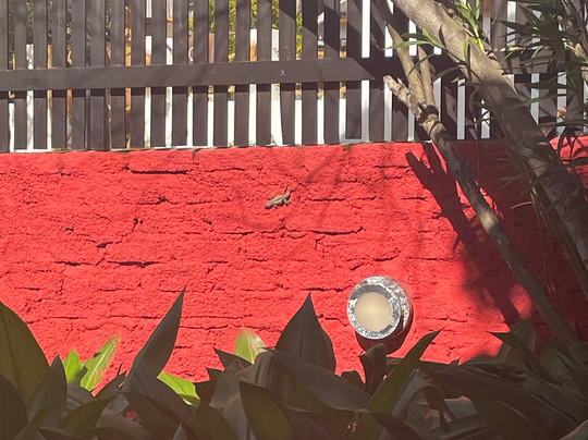 Pousada Jurara主图