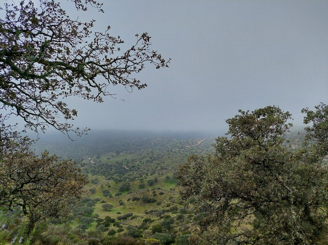 Lyncis Ecoturismo Y Medioambiente