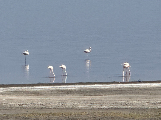 Ndutu Lake-恩戈罗恩戈罗保护区必去景点