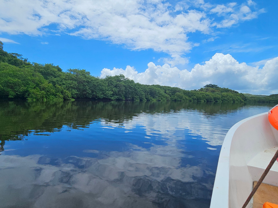 Luciano Turismo e Passeios em Ilhéus-Ilheus必去景点