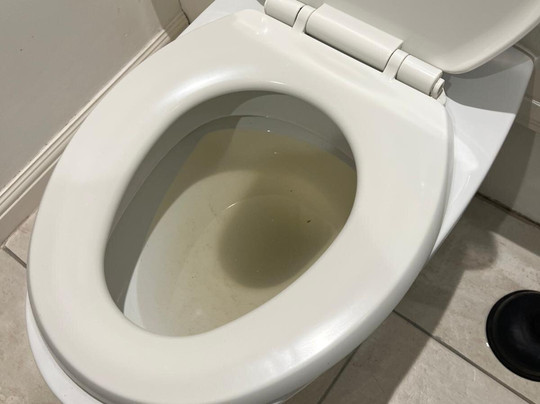 Forbes of Kingennie Country Resort-敦提必去景点