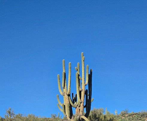 AZ ATV Adventures-Buckeye必去景点