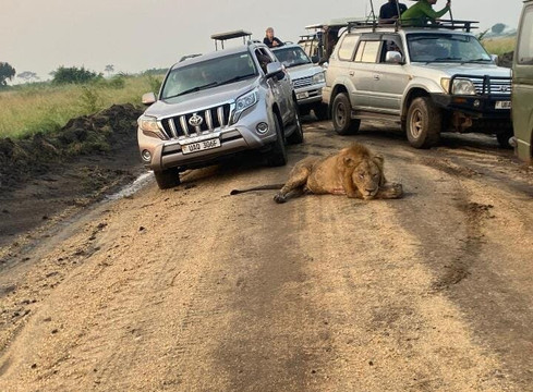 Dallago Tours Kenya Tanzania Limited-内罗毕必去景点