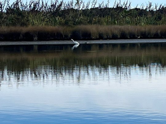 Okarito Boat Tours-Okarito必去景点