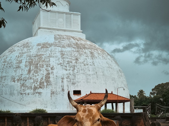 My Driver Sri Lanka-卡图纳耶克必去景点