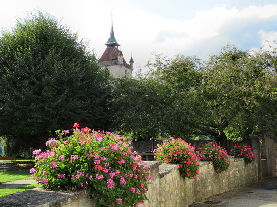 Ville Médiévale d'Estavayer-le-Lac-Estavayer-le-Lac必去景点