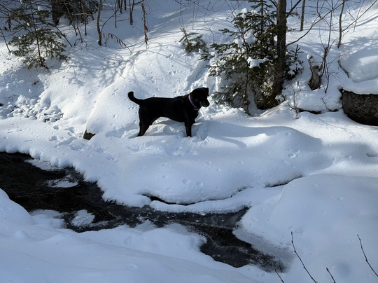 Bear Rock Adventures-Pittsburg必去景点