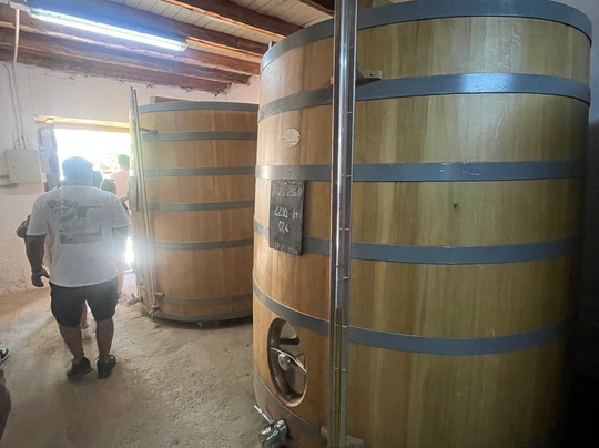 Fundo Los Nichos-Pisco Elqui必去景点