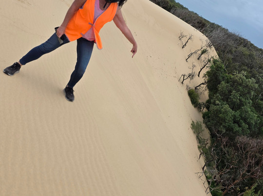 Quad Bike King-威廉斯顿必去景点