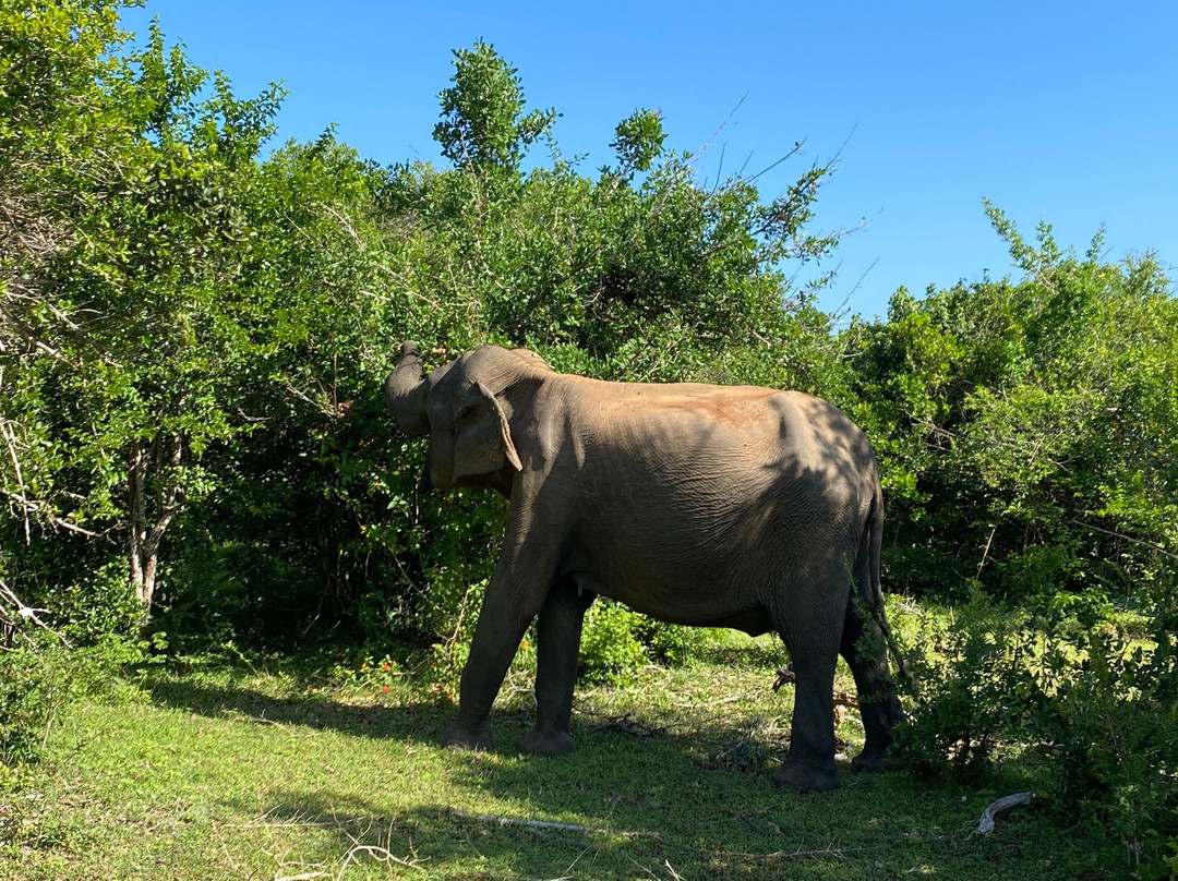 Eddy's Expeditions-加勒必去景点