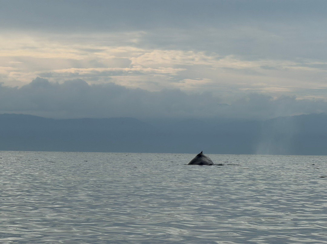 Punta Mita Experience-蓬塔米塔必去景点