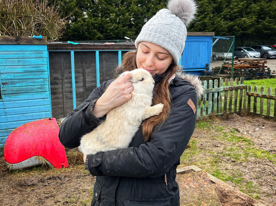 Middle England Farm Alpacas-Henley in Arden必去景点
