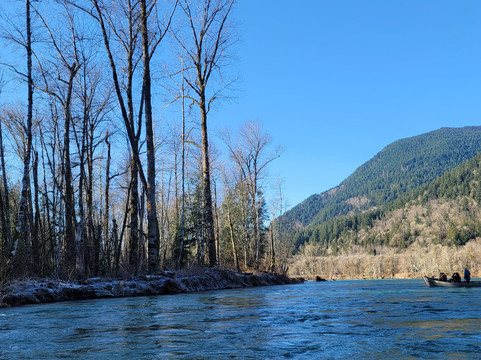 Skagit River Eagle Tours-Rockport必去景点