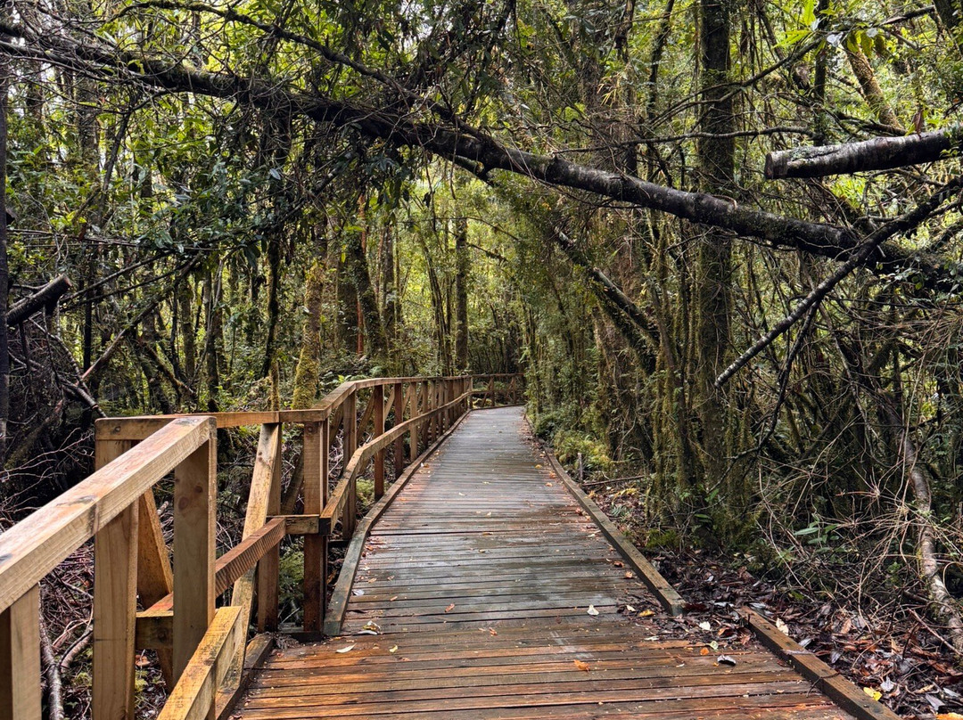 Ventisquero Yelcho-Chaiten必去景点