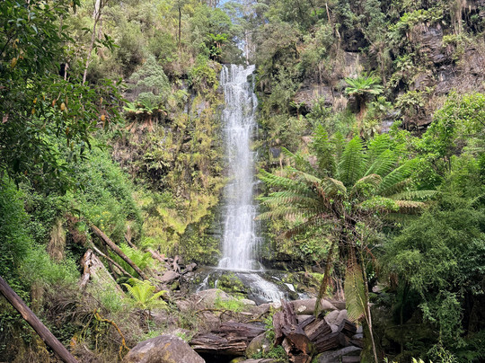 Great Ocean Road Private Luxury Tours-墨尔本必去景点