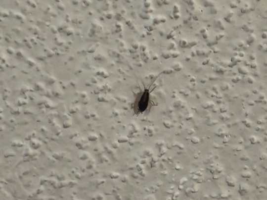 Red Roof Inn Washington DC - Columbia / Fort Meade主图