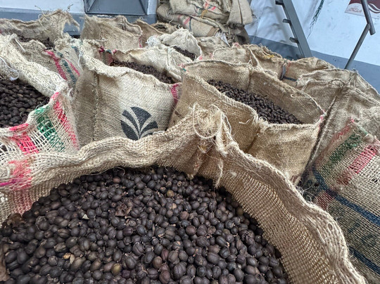 Café La Morelia-El Caimo必去景点