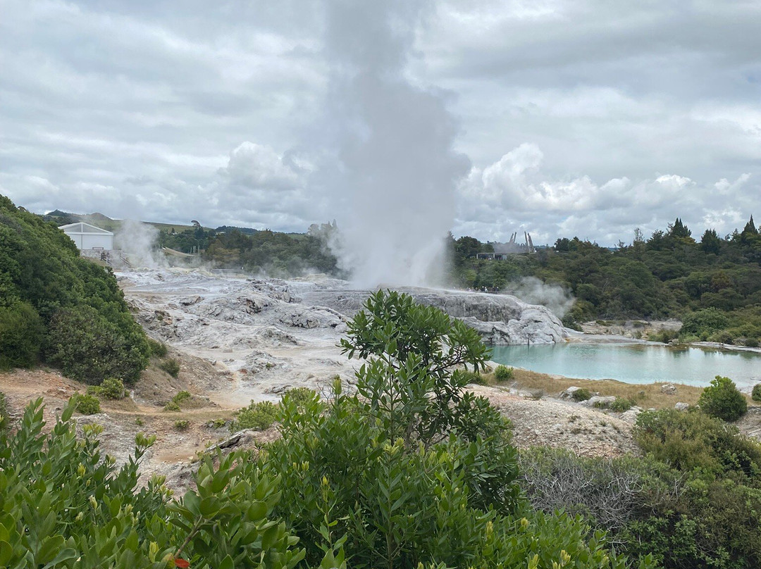 Scott Tours-陶兰加必去景点