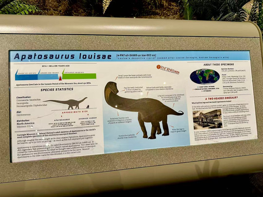 卡内基自然历史博物馆-匹兹堡必去景点