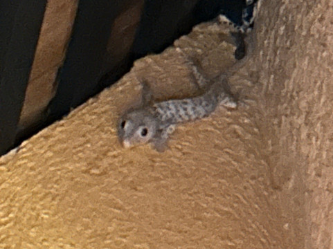 象岛半岛海滩度假村主图