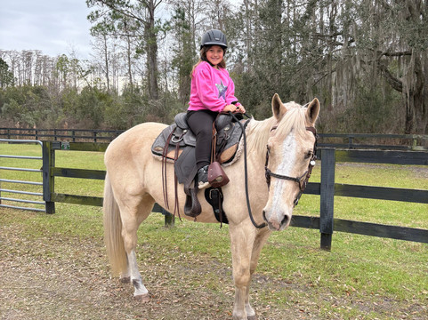 Black Prong Adventures Horseback Riding And Carriage Tours In The Goethe State Forest-Bronson必去景点