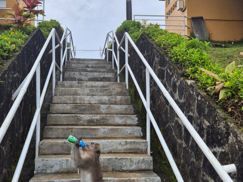 KIDAN TOUR OPERATOR-卓欧毕雪必去景点