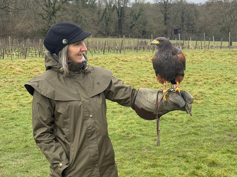 UK Owl And Raptor Centre-Groombridge必去景点