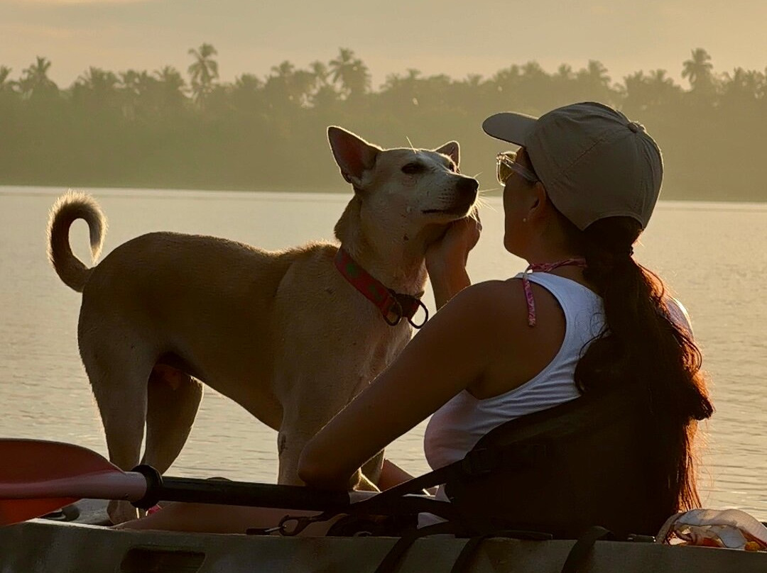 Kayak journey-Rekawa必去景点