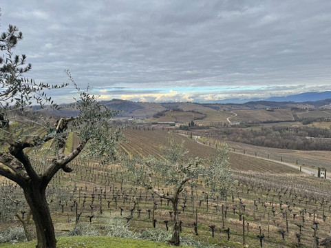 Azienda Agricola Livon-Dolegnano必去景点