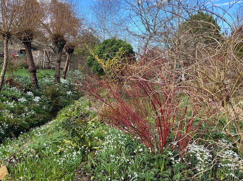 East Lambrook Manor Gardens-South Petherton必去景点