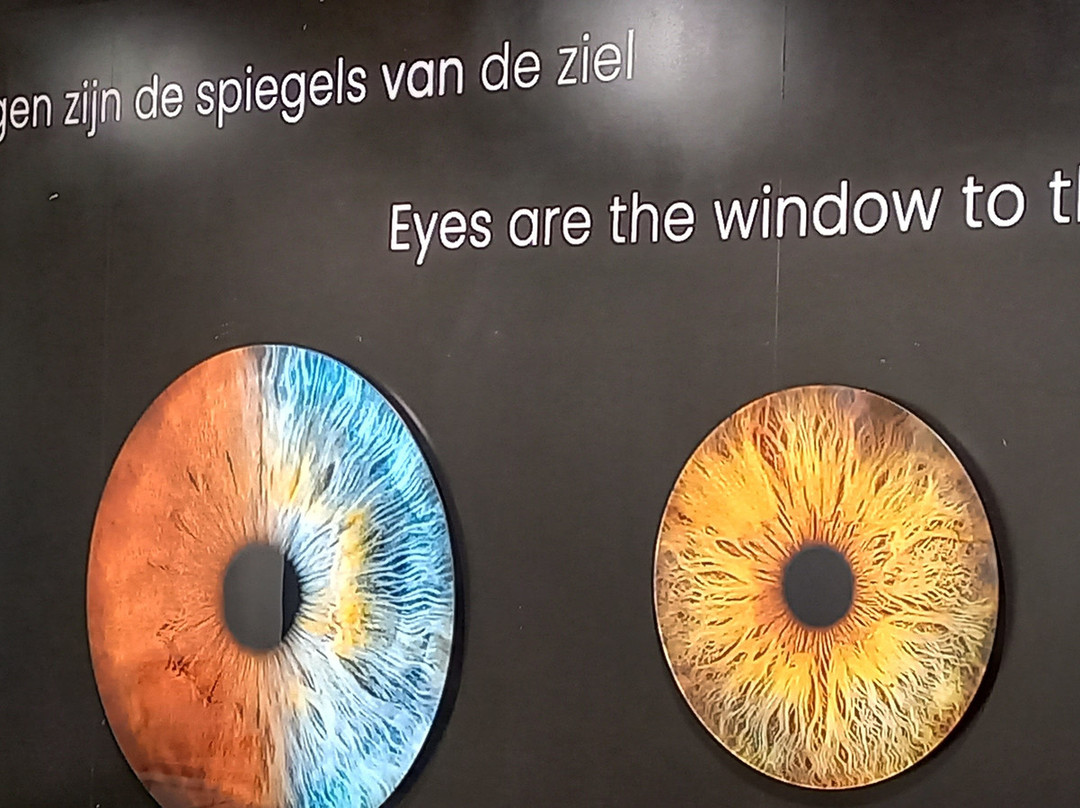 Iris Galerie Sluis-斯勒伊斯必去景点