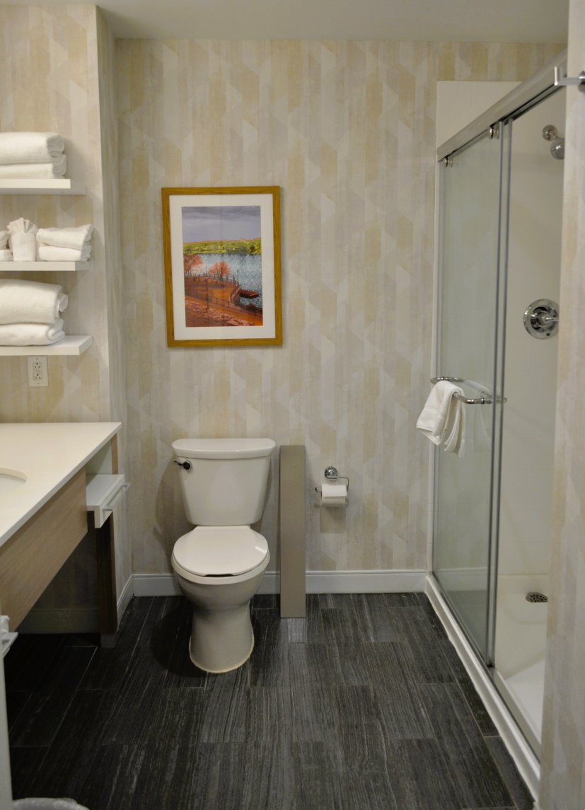 Hampton Inn & Suites By Hilton Augusta-washington Rd-浴室
