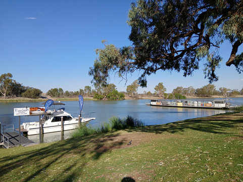 Rivergum Boat Cruises Pty Ltd-Waikerie必去景点