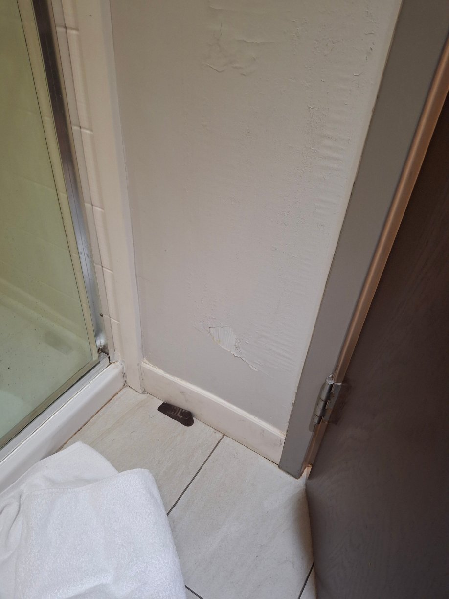 Holiday Inn Express Birch Run (Frankenmuth Area) by IHG-官方