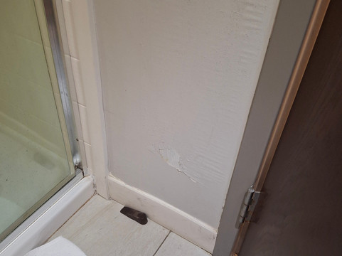 Holiday Inn Express Birch Run (Frankenmuth Area) by IHG主图