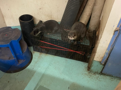 Oceanarium-伯恩茅斯必去景点