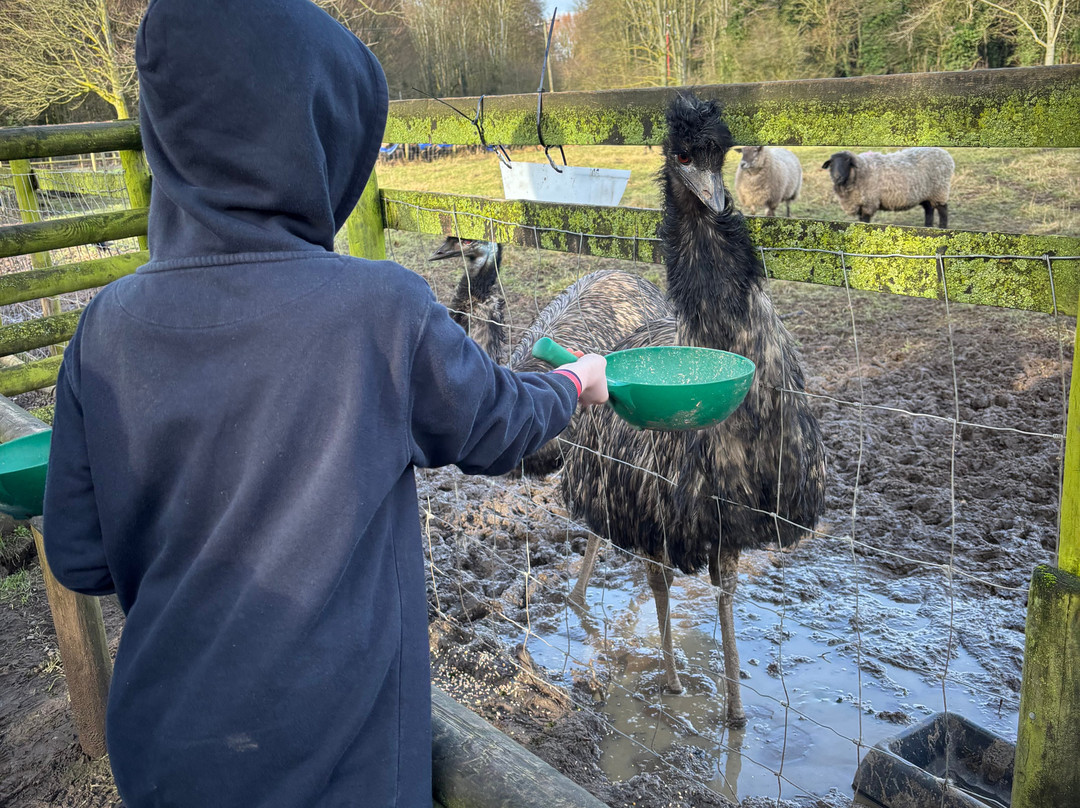 Hoo Zoo And Dinosaur World-特尔福德必去景点
