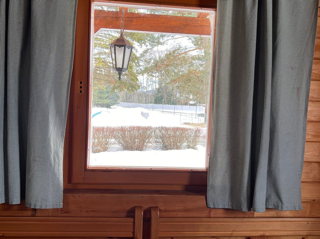 蓝艾迪霍酒店主图