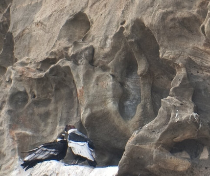 Estancia Olga Teresa-Rio Verde必去景点