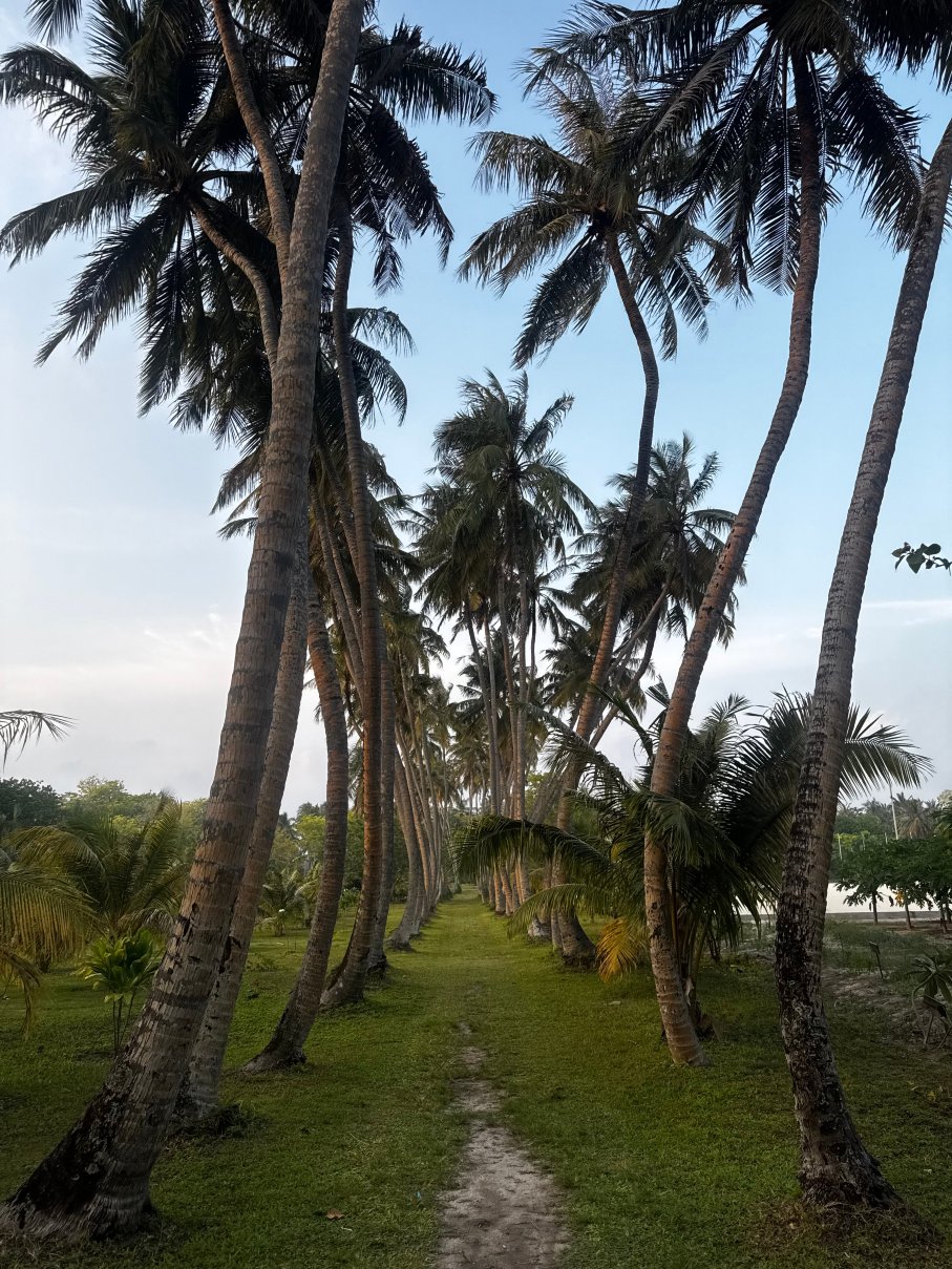 阳光岛别墅公园-浴室