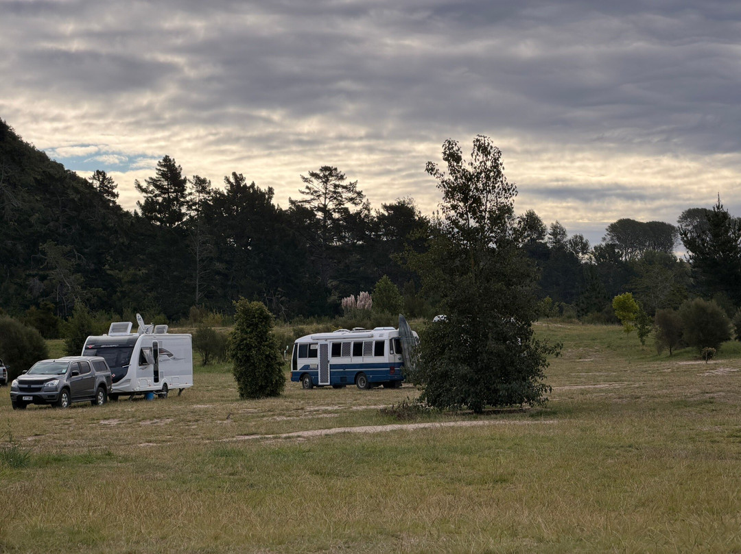 Lake Whakamaru Reserve