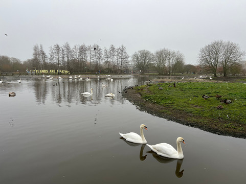 WWT Slimbridge Wetland Centre-Slimbridge必去景点
