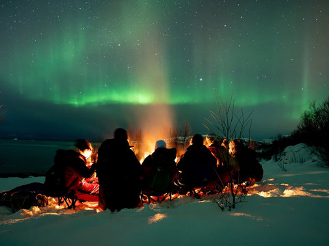 Blue Puffin - Tromso Experiences-特罗姆瑟必去景点