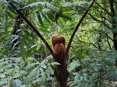 Rio Celeste By Chris Tours-Katira必去景点