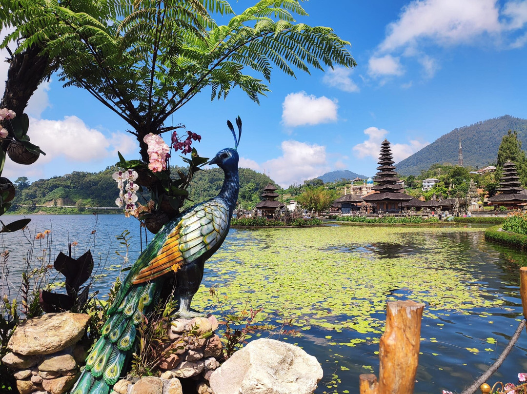 Ima Bali Tours-登巴萨必去景点