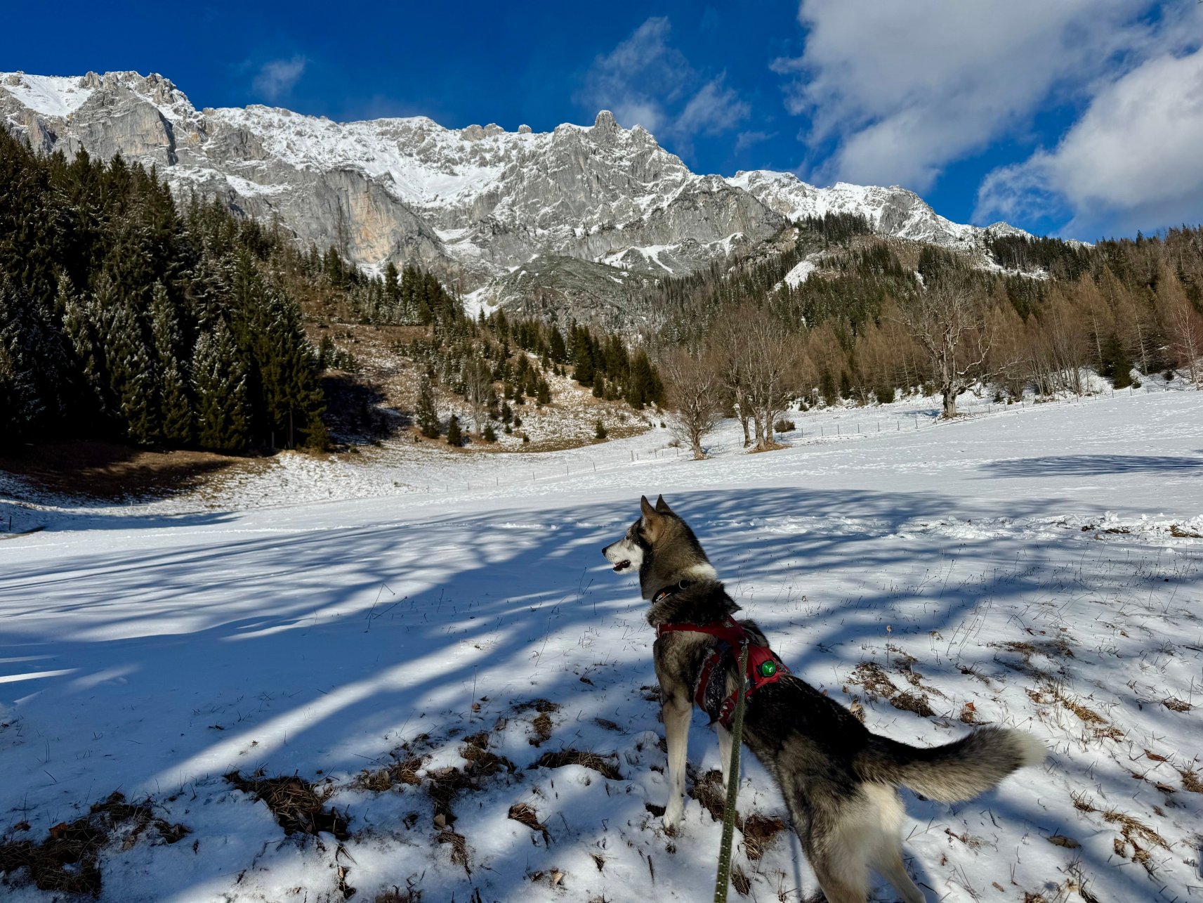 罗思尔霍夫酒店-官方
