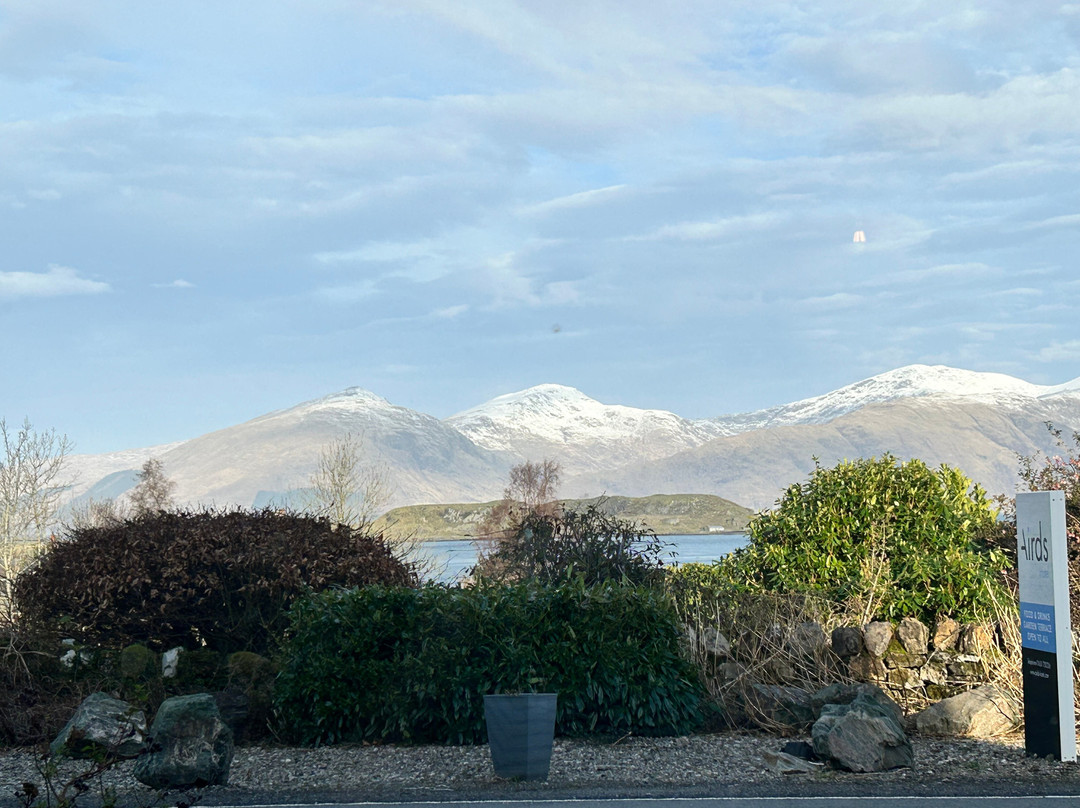 阿尔兹餐厅酒店主图