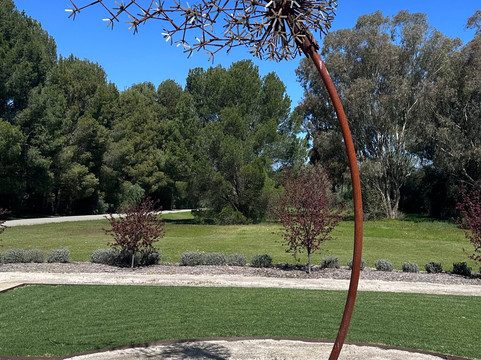 Riesling Trail Bike Hire-克莱尔必去景点