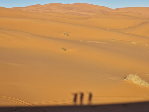 See Around Morocco-梅如卡必去景点